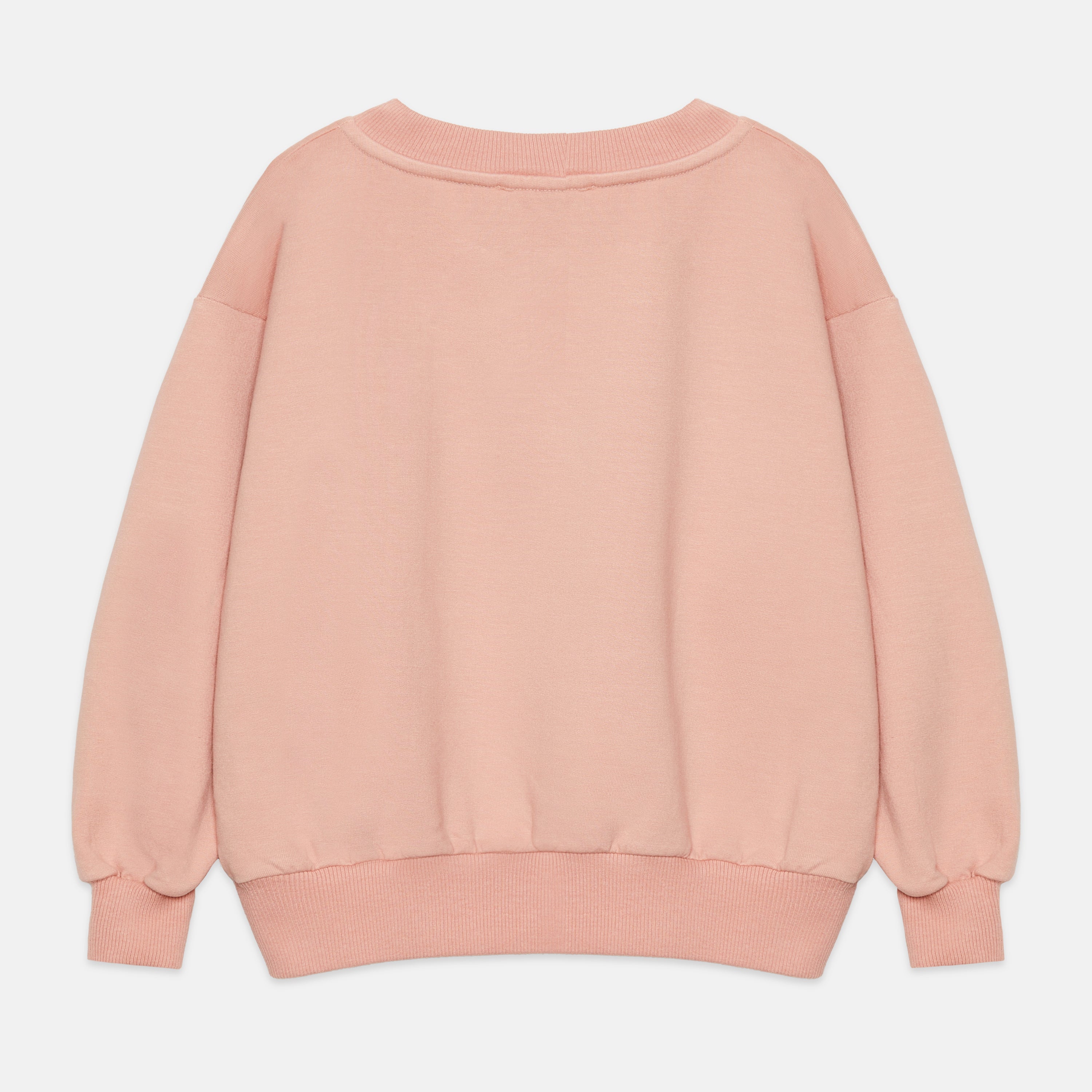 Kids' Playground Sweatshirt in Peach - back