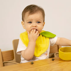 Oli & Carol Lou the Lemon baby bib